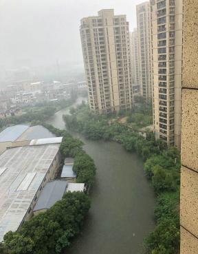 沼泽虾价格（暴雨过境）