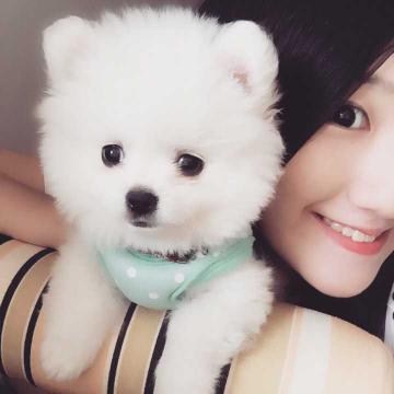博美一般多少钱（博美犬多少钱一只）