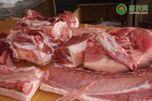 豬頭多少錢（目前豬肉價格多少錢一斤）