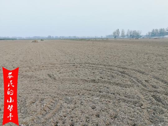 土地变更一亩地多少钱（一亩地租金600元）