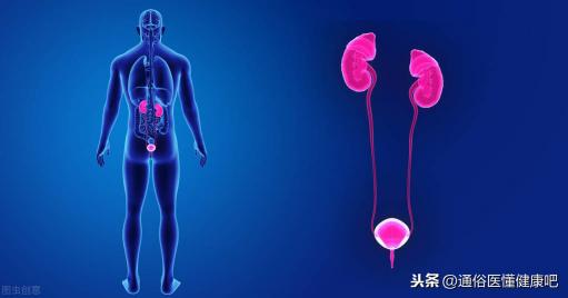输尿管结石体外碎石多少钱（体外冲击波）