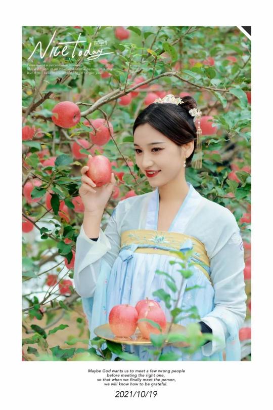 富士苹果多少钱一斤（从5毛涨至3元）