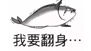 轻食加盟店多少钱大概需要多少钱（做轻食）