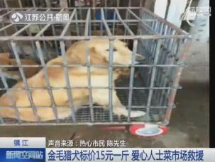 肉狗多少钱一斤（金毛猎犬标价15元一斤菜市场当）