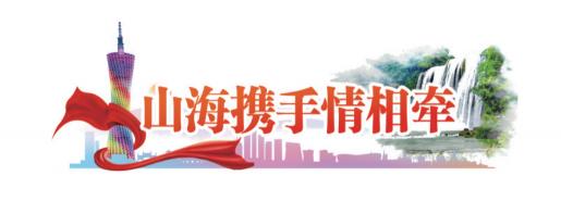 紫云多少錢一條（東西部協(xié)作）