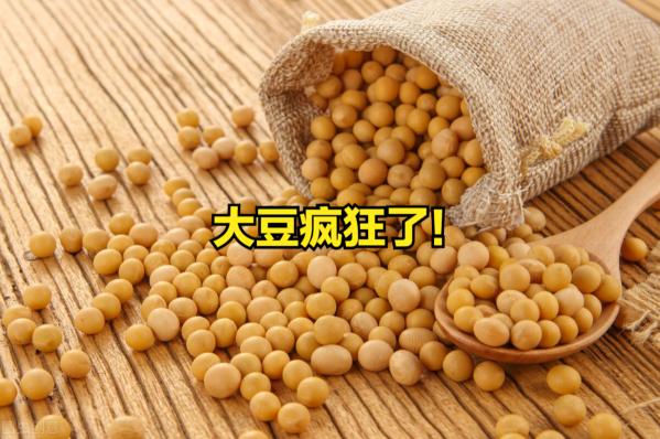 黄豆多少钱一斤2019（大豆的）