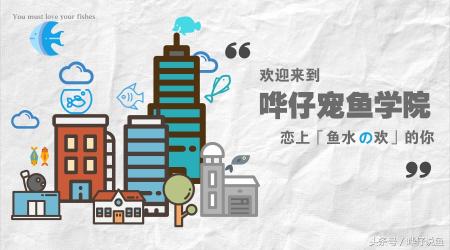 鱼缸多少钱（开一家水族店）