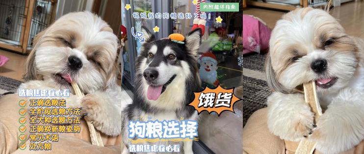 椰子油多少钱一斤（狗粮怎么选）