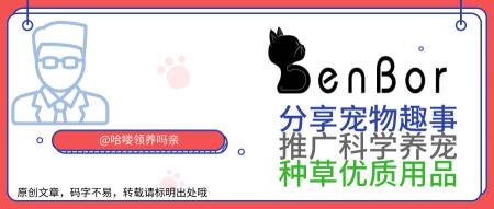 猫血常规多少钱一次（无论领养还是购买）
