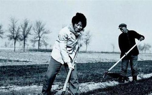 1977年一分硬币值多少钱（1977年）