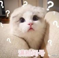 换车牌多少钱（想换车不换号）