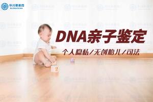 做个亲子鉴定需要花多少钱（成都亲子鉴定要多少费用）