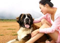 巨贵犬多少钱（养什么狗最）