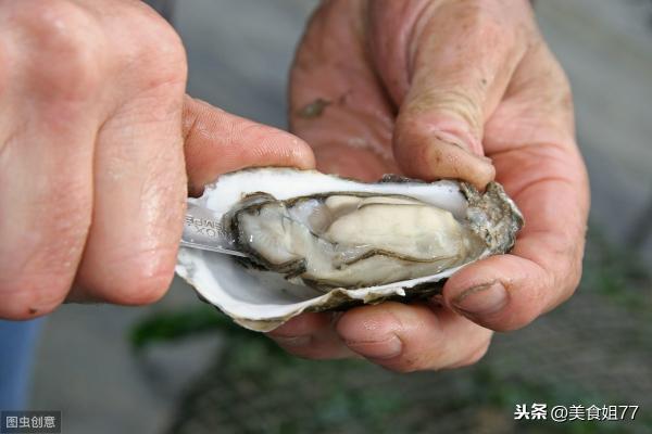 海蛎壳粉一吨多少钱（海蛎）