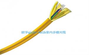 萬兆光纖一年多少錢（歐孚OFGD光纜廠）