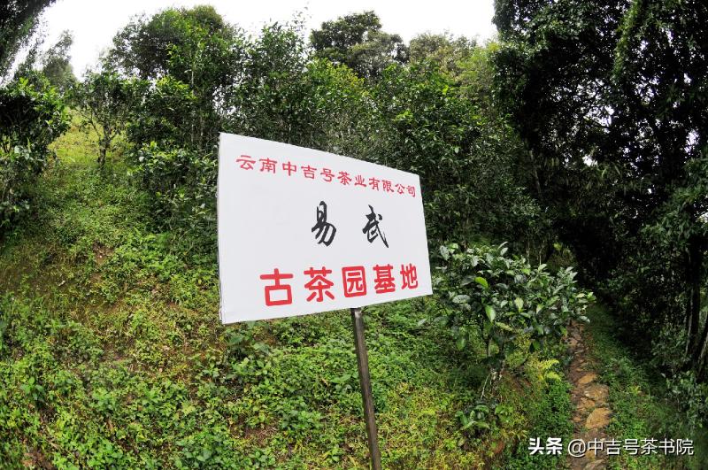 15年的普洱茶值多少钱（消费至上）