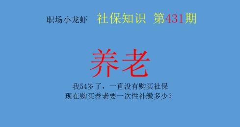 社保补缴多少钱（我54岁了）