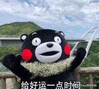 鼎信诺审计软件多少钱（会计专业毕业往什么方向发展你想好了吗）