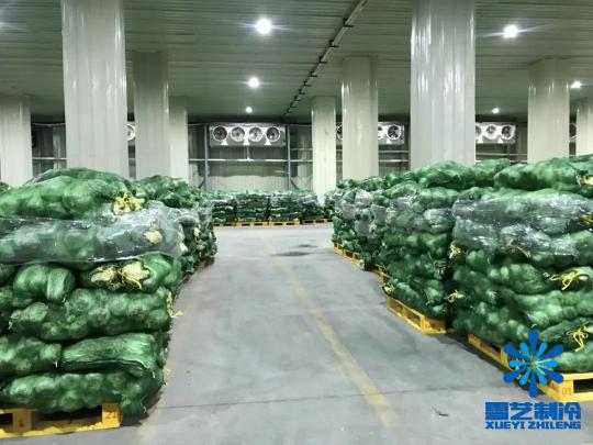 水果冷库造价多少钱一立方（100吨蔬菜需要建多大冷库）
