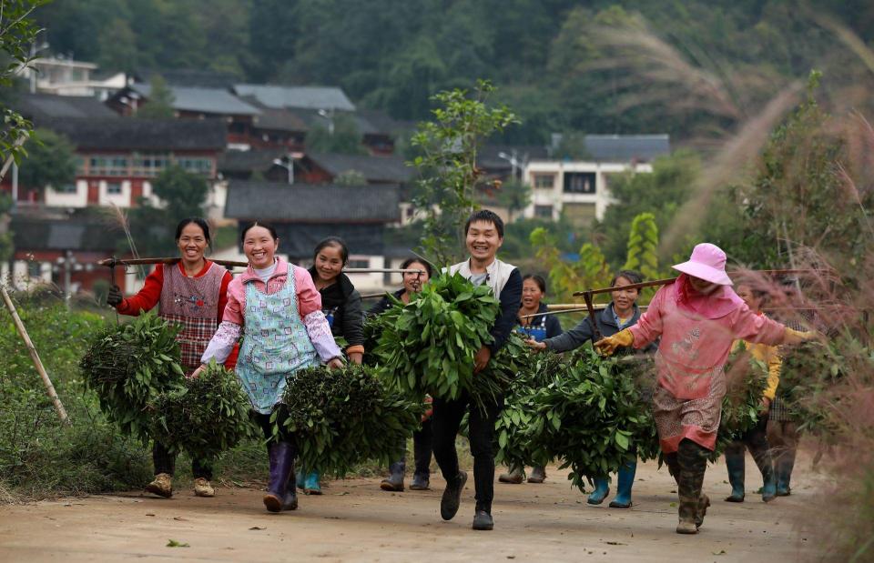 低保户一年多少钱（脱贫攻坚胜利了）