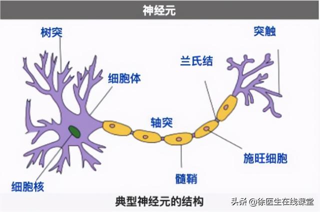 甲鈷胺100片多少錢一盒（甲鈷胺修復(fù)神經(jīng)效果好）