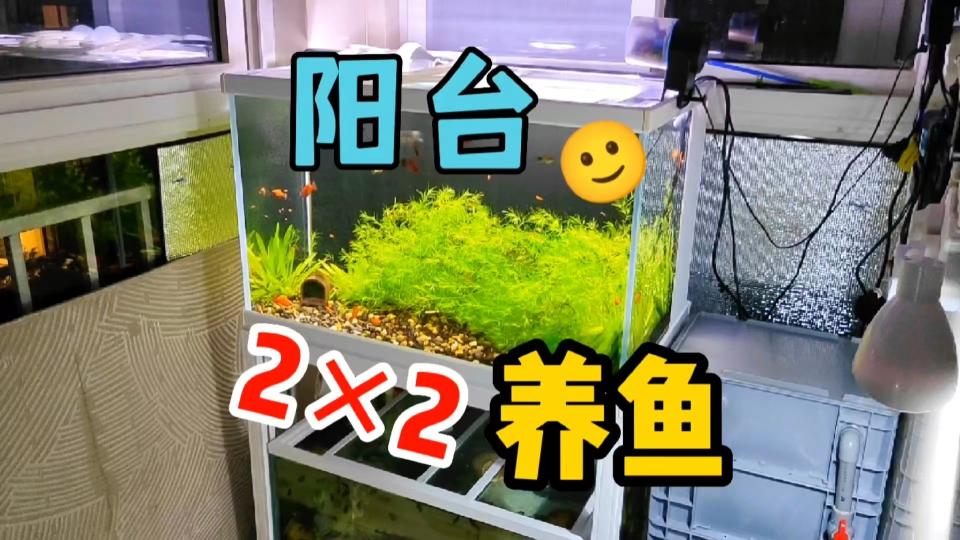 钢结构楼板多少钱一平（楼房养鱼安全第一）