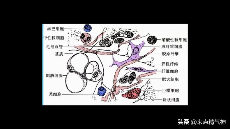 胶原蛋白一般多少钱（吃胶原蛋白能变美是个陷阱）