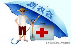 农村合作医疗交多少钱（农村合作医疗报销比例多少）
