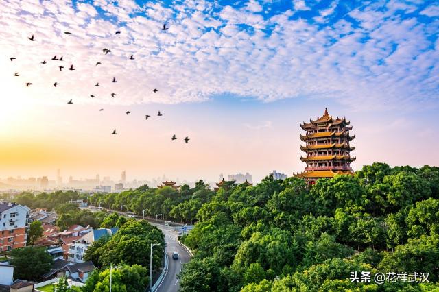绿色黄鹤楼多少钱一包（你抽100元的黄鹤楼）