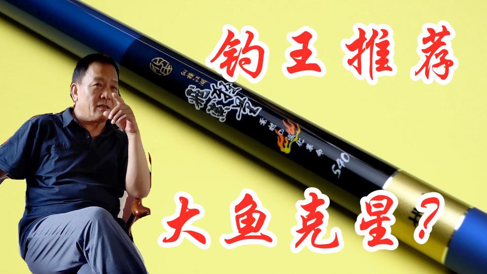 天元浪尖鱼竿多少钱(800元买了钓王推荐的鱼竿)