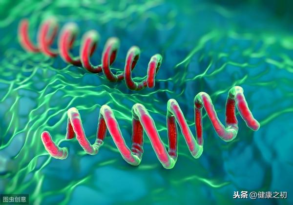 治療梅毒要多少錢（梅毒完全可以治療）