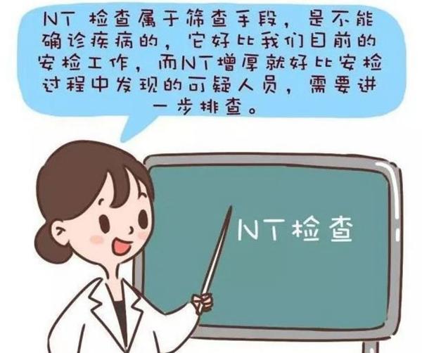 医院做nt一般多少钱（怀孕后）