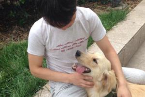 狂犬病多少钱（狂犬病死亡率高达99）