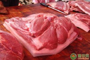 现在的猪肉多少钱一斤（今日猪肉价格多少钱一斤）