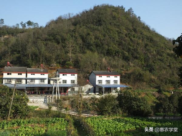 农村建房多少钱一平方（农村宅基地面积怎么算）