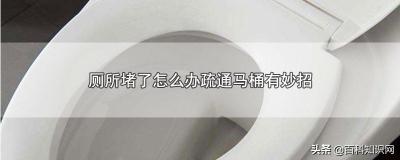 厕所疏通要多少钱（厕所堵了怎么办疏通马桶有妙招）