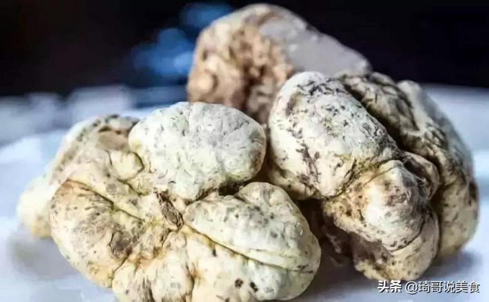 白松露多少钱一斤（5种世界顶级食材）