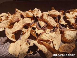 陈皮15年多少钱一斤（新会陈皮）