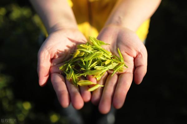 好茶叶多少钱一斤（如何定义）
