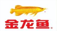 金龙鱼油价格多少钱（金龙鱼怎么样）
