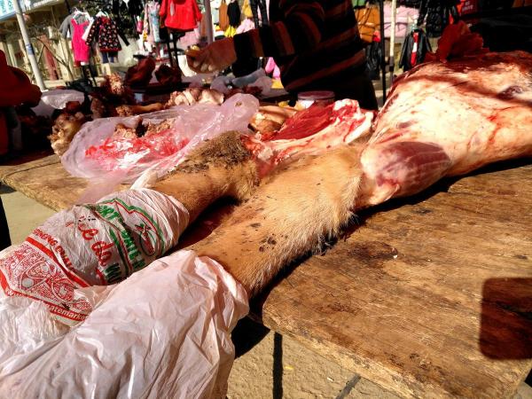 牛肉干一斤多少钱(鲜牛肉50块一斤)