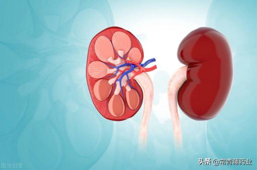 结石手术多少钱（肾结石痛如斩腰）