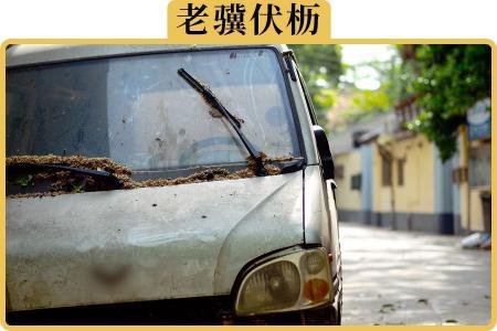 奥迪a4l后保险杠多少钱（30万的车）