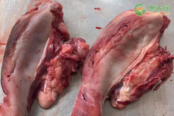 一斤驴肉多少钱（今日驴肉市场最新价格多少钱一斤）