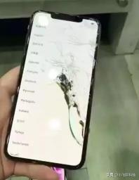 换手机后盖多少钱（IPhone11买得起修不起）