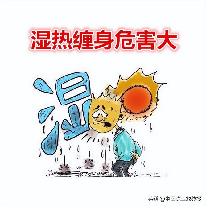肠胃康多少钱一盒（湿热最怕这几种中成药）