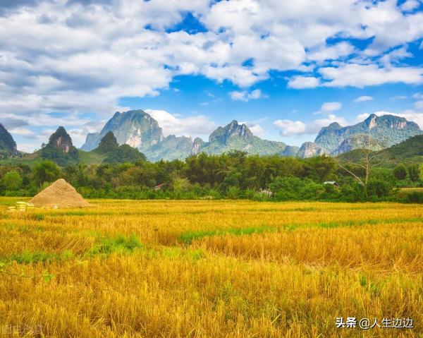 口风琴多少钱一个（司机说）