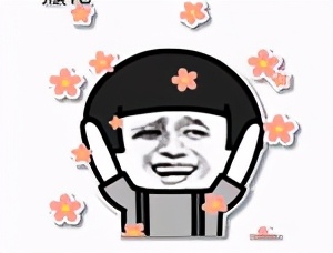 轩妈蛋黄酥多少钱一盒（轩妈）