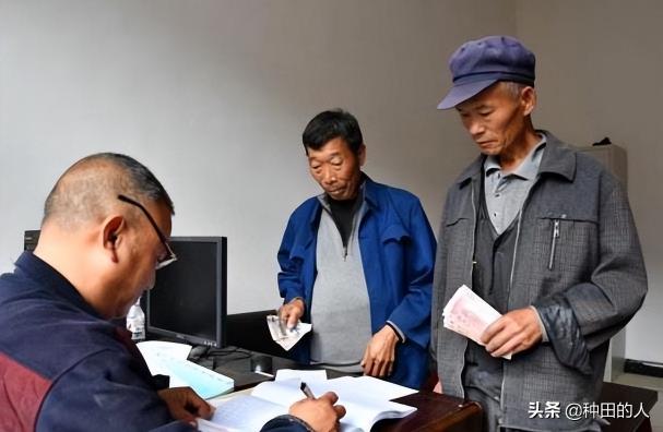 今年合作医疗多少钱（村干部陆续收2项费用）