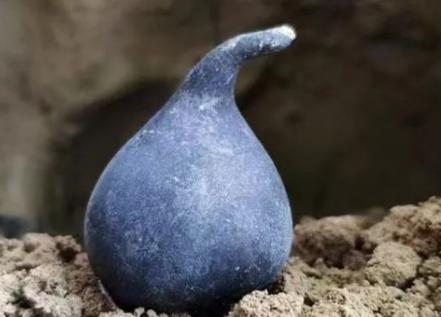 柠檬酸多少钱一斤（长在白蚁窝里的菌类）